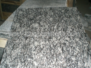 白い花崗岩の磨かれたスラブと壁のクラッディングと内装床用のタイル